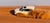 sunrise desert safari