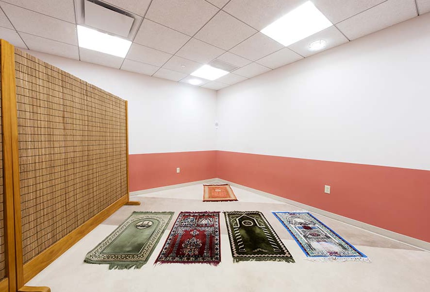 sunrise desert safari