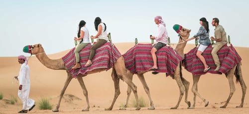 Safari in Dubai