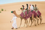 sunrise desert safari
