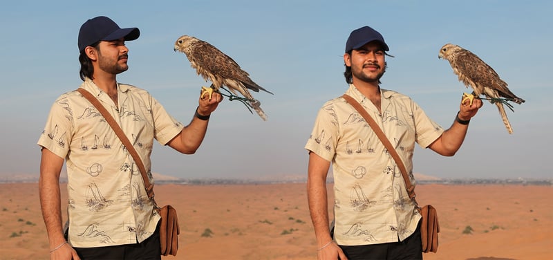 Red Dunes Desert Safari Dubai with Premium BBQ Dinner Buffet gallery image 5