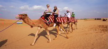 sunrise desert safari